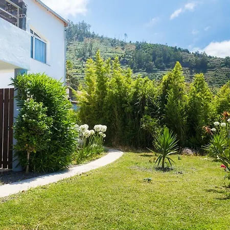 Casa Bougainvilha Owners Flat Arco da Calheta (Madeira)